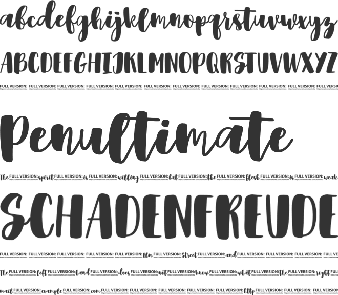 Shrewdy font preview