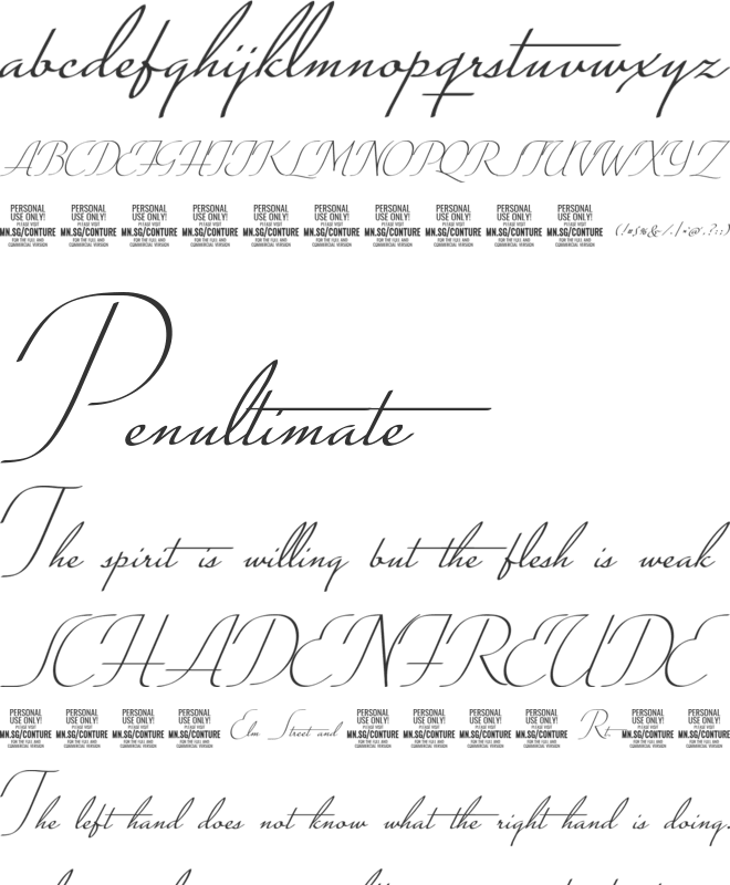 Conture Script PERSONAL USE font preview