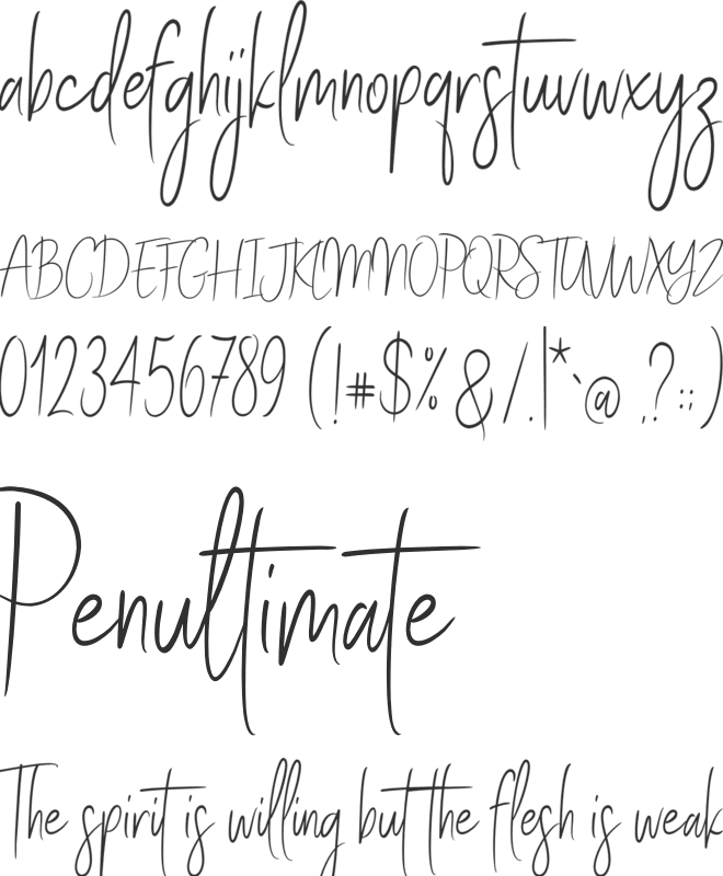 Stay Classy SLDT font preview