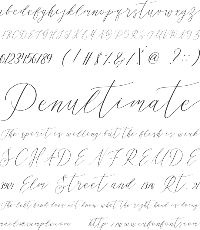 Oh Samantha font preview