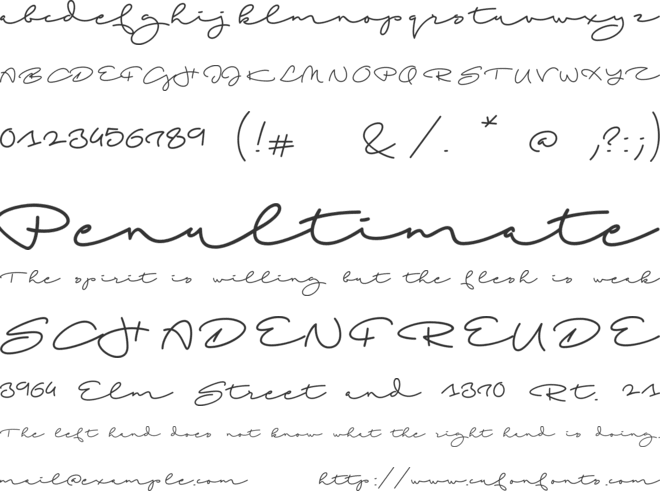 Beach Script font preview