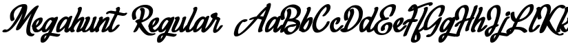 Megahunt font download