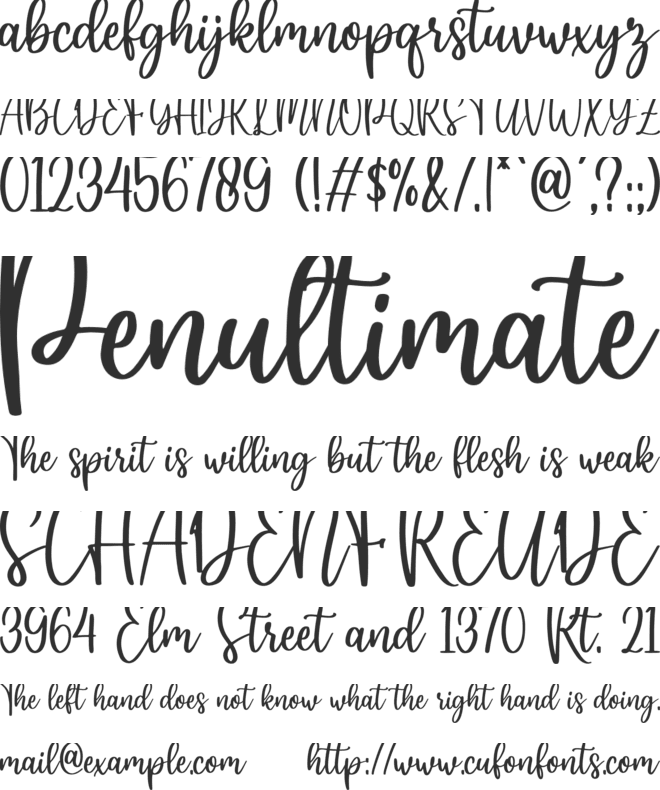 hey butterfly font preview