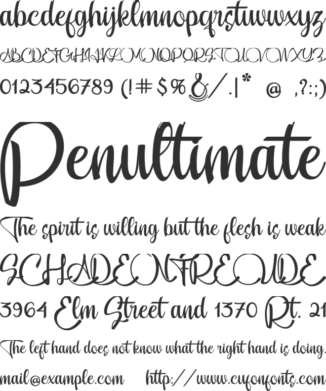 Feisty font preview