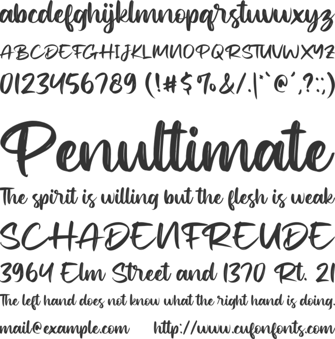 Shakies font preview