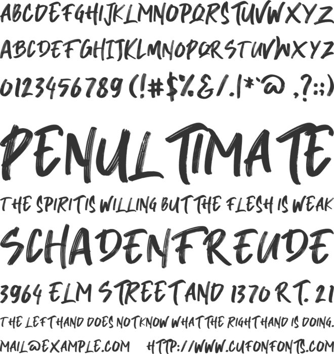 Breaker The Brush font preview