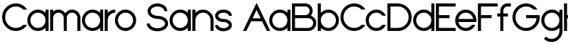 Camaro Sans font