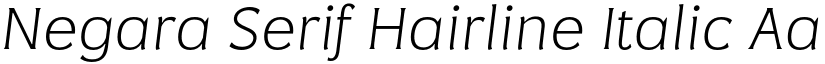 Negara Serif Hairline Italic font