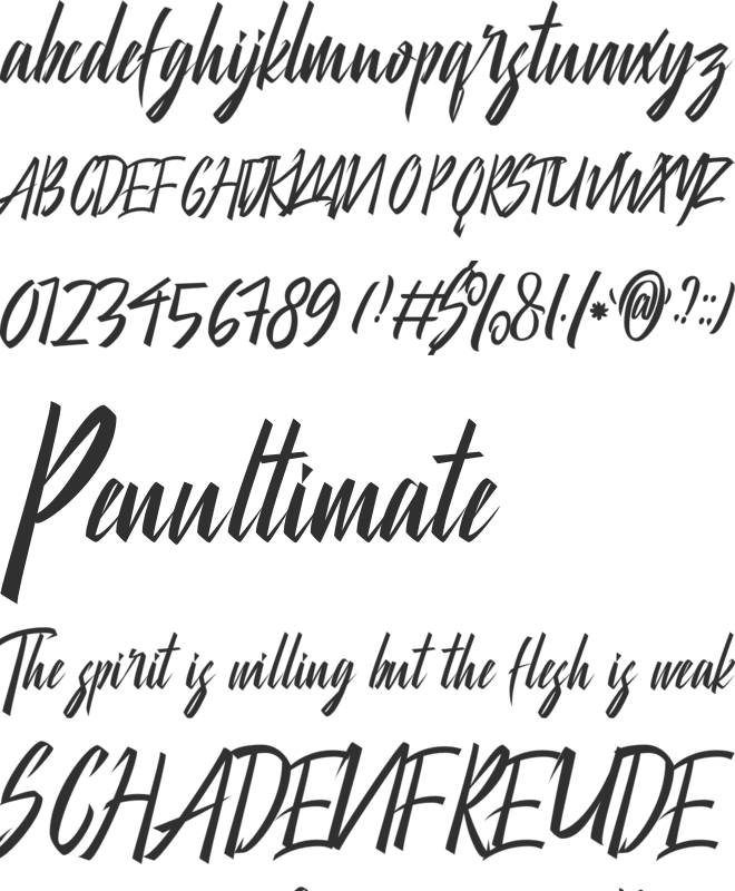 City Of Panonama font preview