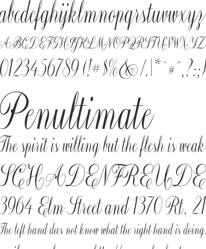 Constancia Script font preview