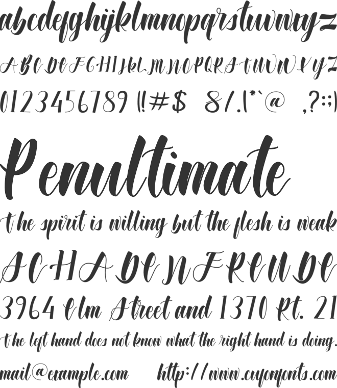 Wonderfull Bali font preview