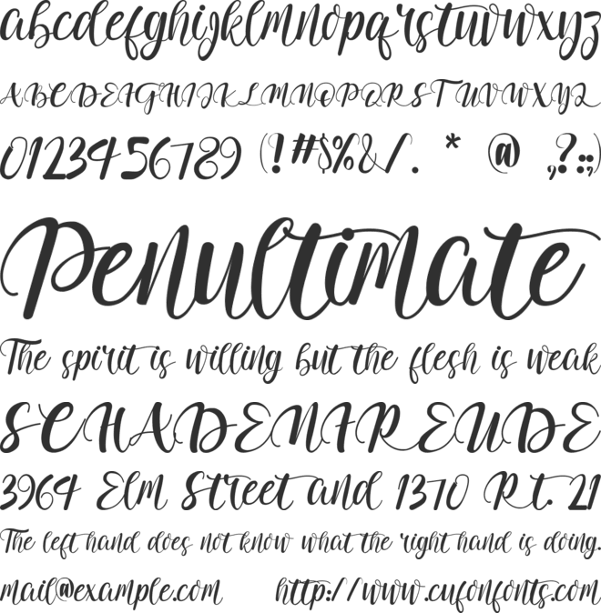 Adelwish font preview