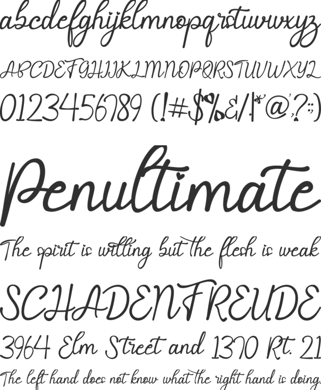 Selvia Cahya font preview