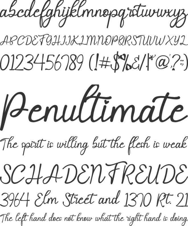 Selvia Cahya font preview