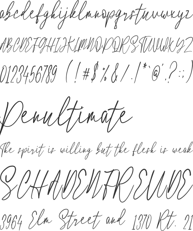 Hotel Script font preview