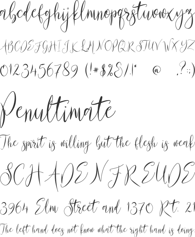 Pariss Hillton font preview