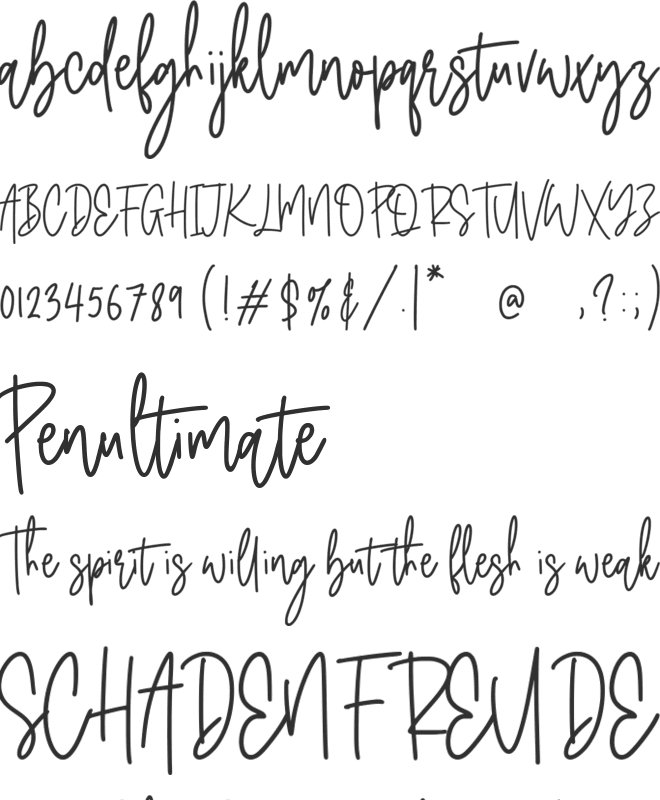 Classyday font preview