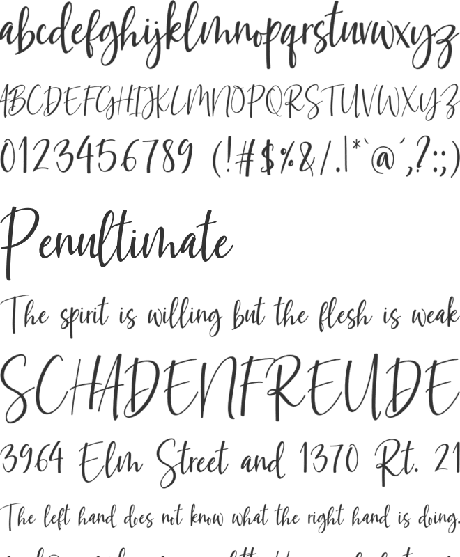 wongsolo font preview