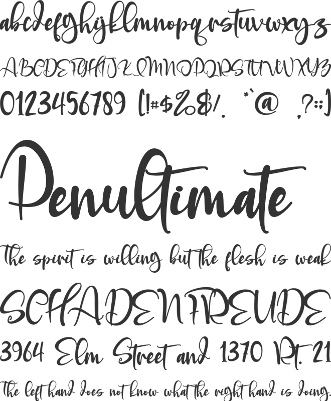 Aguellera font preview