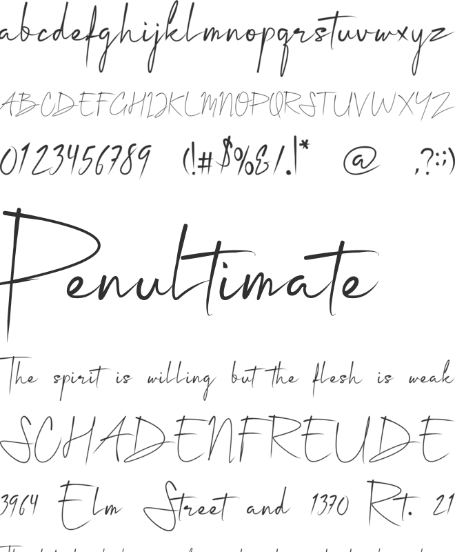 Tabina font preview