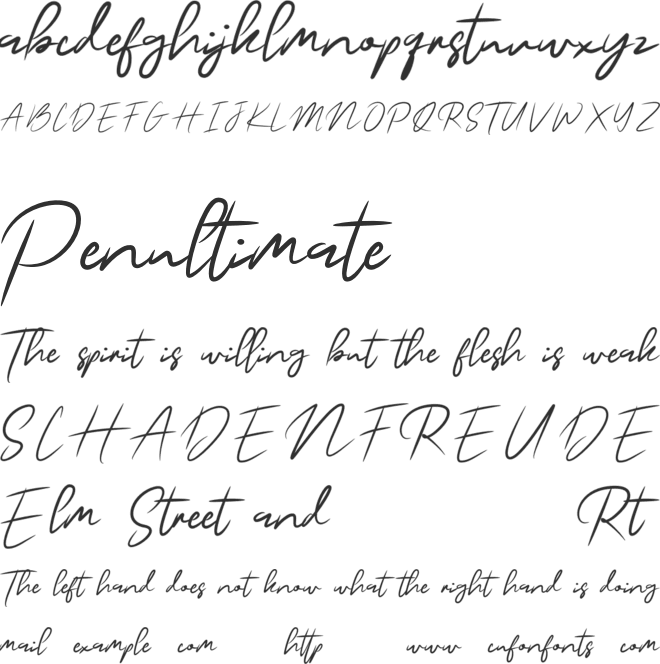 BuffaloSignature font preview