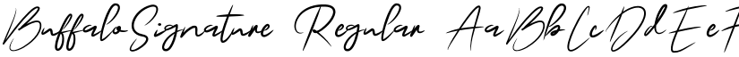 BuffaloSignature font download