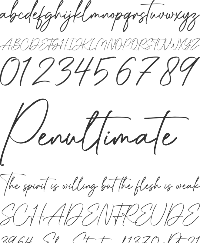 Raflessia font preview