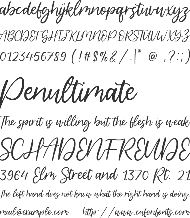 Barkeliy font preview