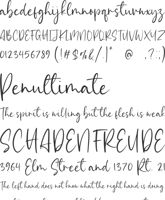 Simplemind font preview