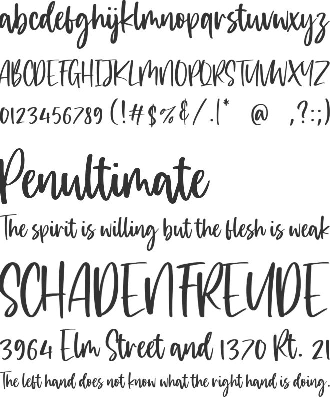 dreamfoster font preview