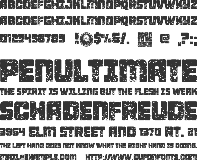 Born To be Strong! font preview