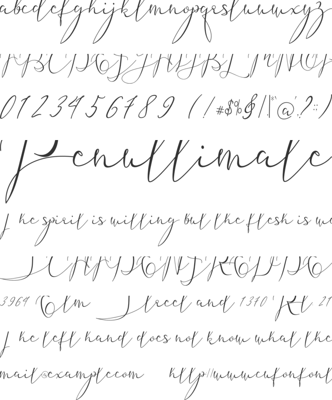 Xcellent girl font preview