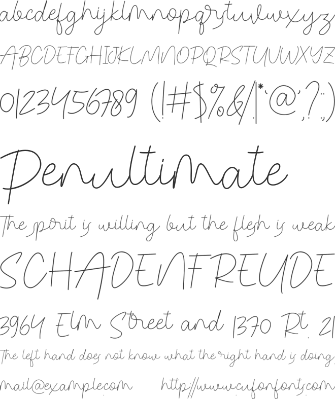 Congealed Signature font preview
