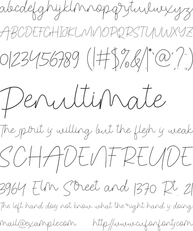 Congealed Signature font preview