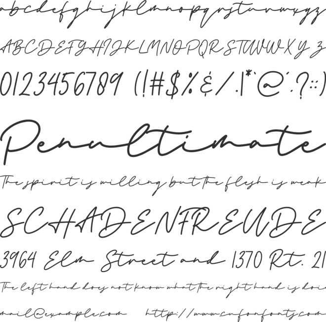 the Strong Signature font preview