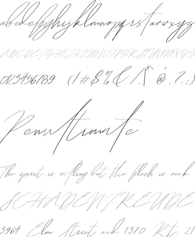 Hegomoni Signature font preview