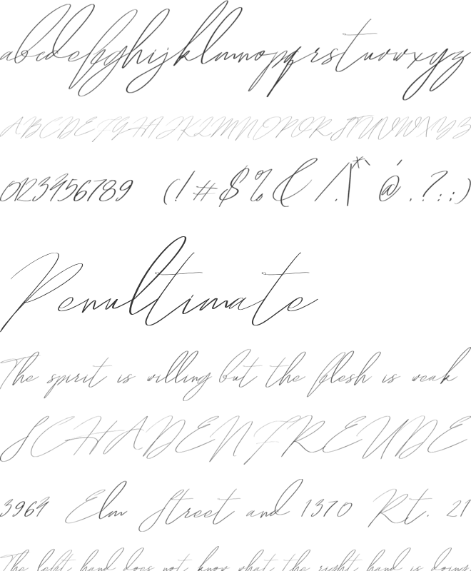 Hegomoni Signature font preview