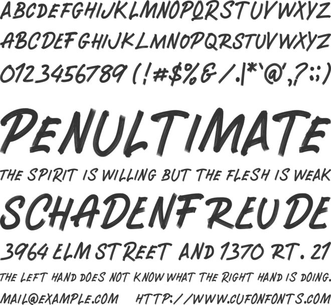 RUNWAY BRUSH font preview