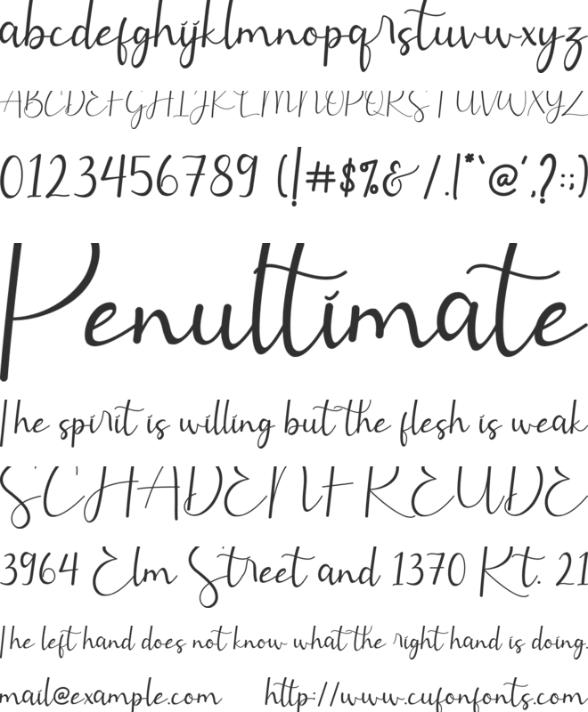 Leytta font preview