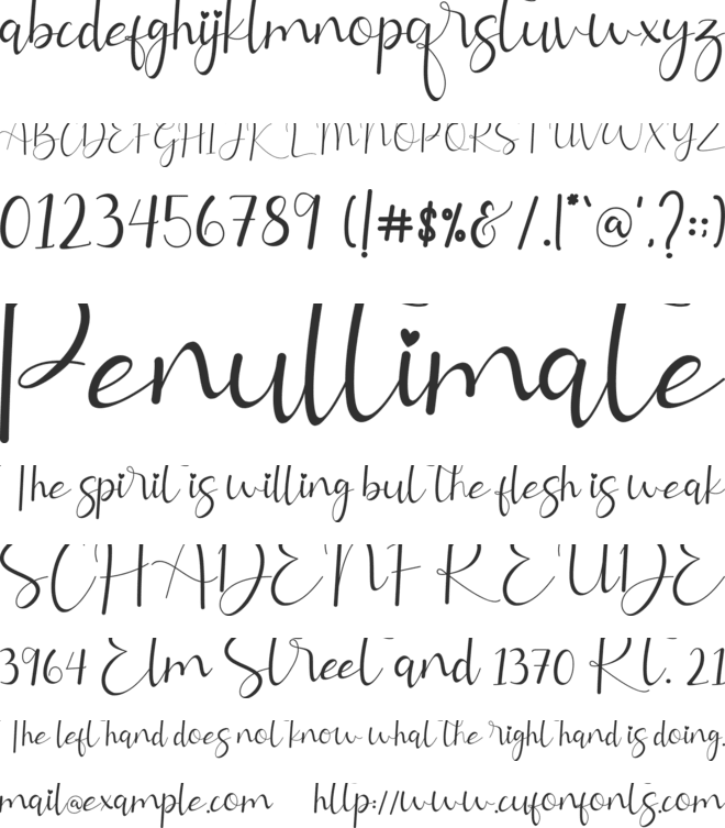 Allitta Calligraphy font preview
