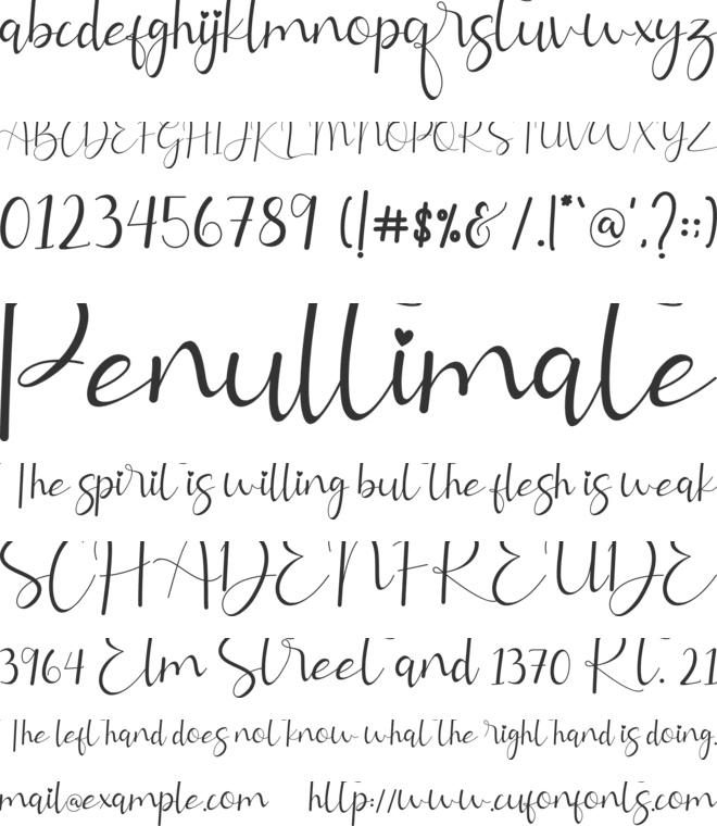 Allitta Calligraphy font preview