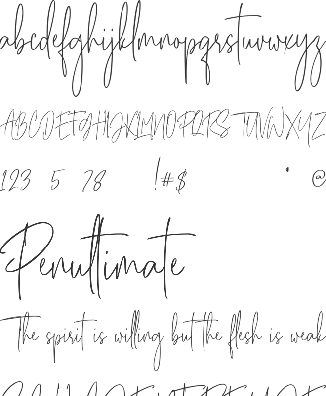 Besties Matthew font preview