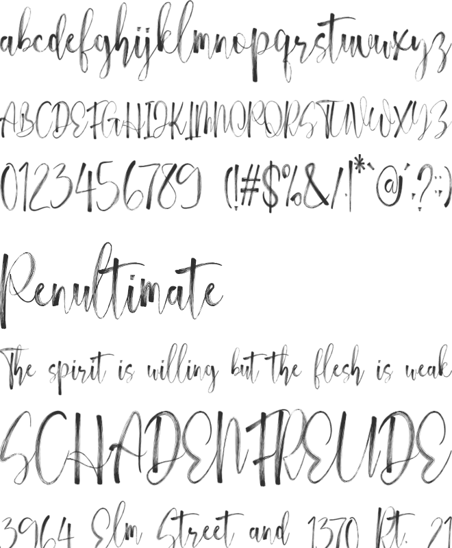 Themify Brush font preview