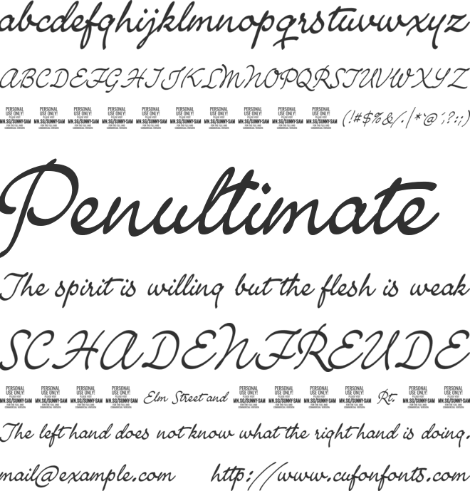 Sunny Sam PERSONAL font preview