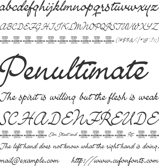 Sunny Sam PERSONAL font preview