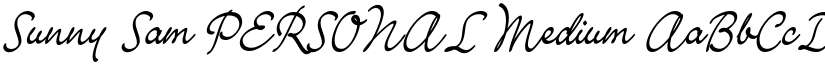 Sunny Sam PERSONAL Medium font