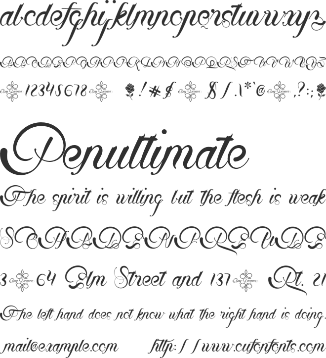 Beautifuly font preview