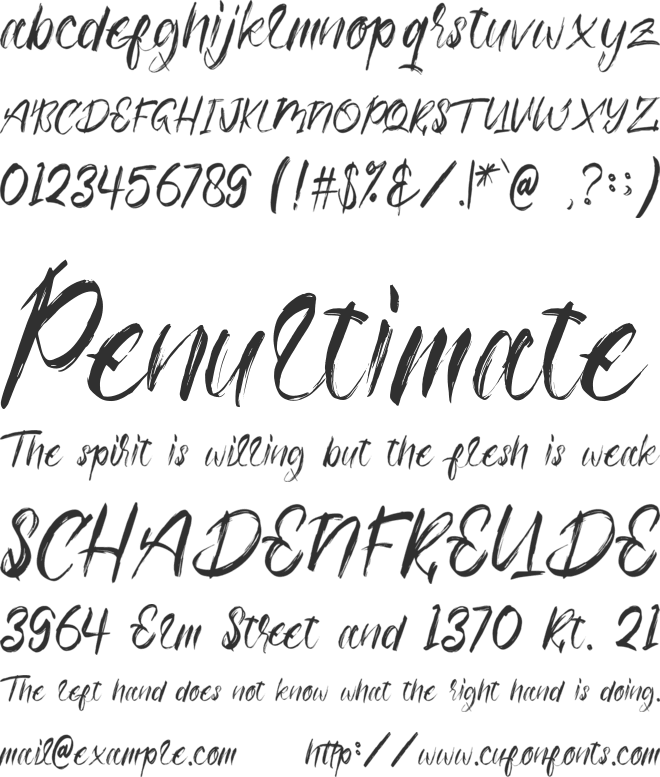 Ottodidact font preview