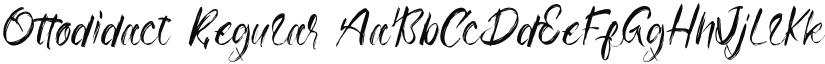 Ottodidact font download