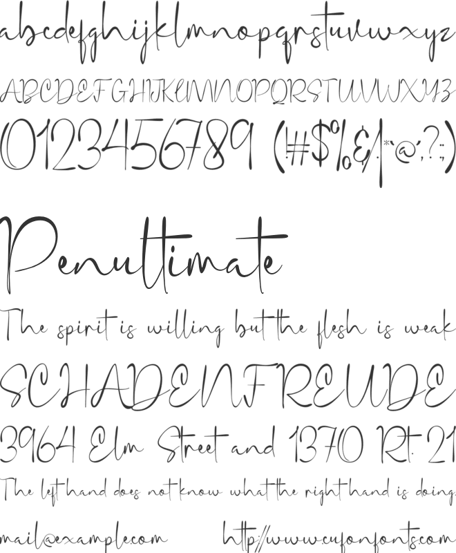 Sintya font preview